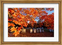 Fall Morning in a Portsmouth Cemetary, New Hampshire Fine Art Print