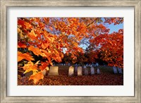Fall Morning in a Portsmouth Cemetary, New Hampshire Fine Art Print