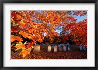 Fall Morning in a Portsmouth Cemetary, New Hampshire Fine Art Print