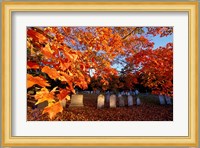 Fall Morning in a Portsmouth Cemetary, New Hampshire Fine Art Print