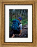 Backpacking on Franconia Ridge Trail, Boreal Forest, New Hampshire Fine Art Print