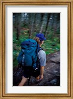 Backpacking on Franconia Ridge Trail, Boreal Forest, New Hampshire Fine Art Print