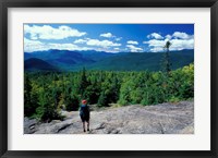 Hiking on Mt Crawford, New Hampshire Fine Art Print