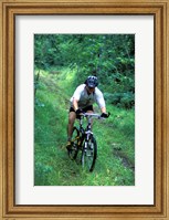 Mountain Biking on Providence Pond Loop Trail, White Mountain National Forest, New Hampshire Fine Art Print