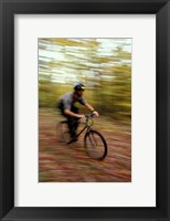 Mountain Biking, Old Logging Road, New Hampshire Fine Art Print