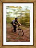 Mountain Biking, Old Logging Road, New Hampshire Fine Art Print