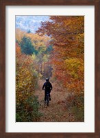 Mountain Biking on Old Logging Road, New Hampshire Fine Art Print