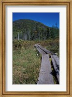 Tamarack Bog Bridge on the Lonesome Lake Trail, New Hampshire Fine Art Print