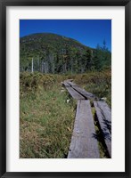 Tamarack Bog Bridge on the Lonesome Lake Trail, New Hampshire Fine Art Print