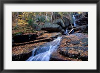 Champney Brook in White Mountains, New Hampshire Fine Art Print