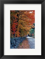 Fall Colors in the White Mountains, New Hampshire Fine Art Print