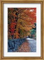 Fall Colors in the White Mountains, New Hampshire Fine Art Print