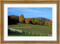 Horse Farm in New England, New Hampshire Fine Art Print