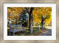 Fall in New England, New Hampshire Fine Art Print