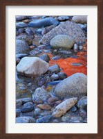 Fall Colors Reflect in Saco River, New Hampshire Fine Art Print
