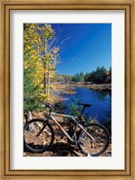 Mountain Bike at Beaver Pond in Pawtuckaway State Park, New Hampshire Fine Art Print