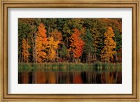 Wetlands in Fall, Peverly Pond, New Hampshire Fine Art Print