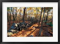 Stone Wall, Nature Conservancy Land Along Crommett Creek, New Hampshire Fine Art Print