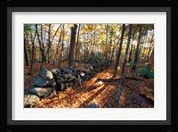 Stone Wall, Nature Conservancy Land Along Crommett Creek, New Hampshire Fine Art Print