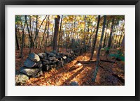 Stone Wall, Nature Conservancy Land Along Crommett Creek, New Hampshire Framed Print