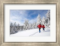 Winter Hiking on Mount Cardigan, Clark Trail, Canaan, New Hampshire Fine Art Print