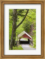 The Flume Covered Bridge, Pemigewasset River, Franconia Notch State Park, New Hampshire Fine Art Print