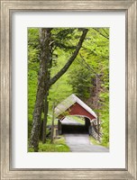 The Flume Covered Bridge, Pemigewasset River, Franconia Notch State Park, New Hampshire Fine Art Print
