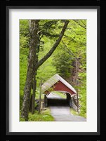 The Flume Covered Bridge, Pemigewasset River, Franconia Notch State Park, New Hampshire Fine Art Print