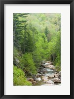 Spring on the Pemigewasset River, Flume Gorge, Franconia Notch State Park, New Hampshire Fine Art Print