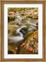 A stream in fall, Grafton, New Hampshire Fine Art Print