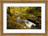 Autumn stream in Grafton, New Hampshire Fine Art Print