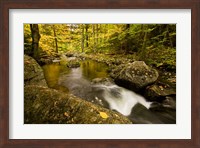 Autumn stream in Grafton, New Hampshire Fine Art Print