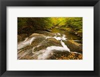 Autumn stream, New Hampshire Fine Art Print