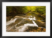 Autumn stream, New Hampshire Fine Art Print
