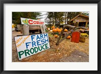 Farm stand in Holderness, New Hampshire Fine Art Print