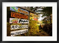 A farm stand, Holderness, New Hampshire Fine Art Print