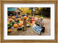 Farm stand, Holderness, New Hampshire Fine Art Print