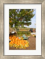 Gourds at the Moulton Farmstand, Meredith, New Hampshire Fine Art Print
