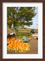 Gourds at the Moulton Farmstand, Meredith, New Hampshire Fine Art Print