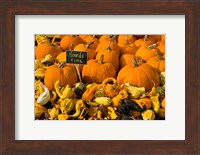Gourds at the Moulton Farm, Meredith, New Hampshire Fine Art Print
