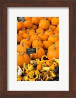 Gourds, Meredith, New Hampshire Fine Art Print