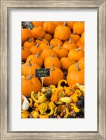 Gourds, Meredith, New Hampshire Fine Art Print