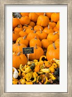 Gourds, Meredith, New Hampshire Fine Art Print