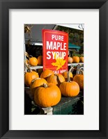 Farmstand at Hunter's Acres Farm in Claremont, New Hampshire Fine Art Print