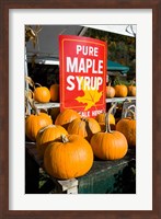 Farmstand at Hunter's Acres Farm in Claremont, New Hampshire Fine Art Print