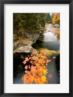 Upper Falls on the Ammonoosuc River, White Mountains, New Hampshire Fine Art Print