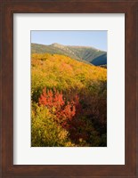 Mount Lafayette in fall, White Mountain National Forest, New Hampshire Fine Art Print