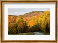 Franconia Notch Bike Path in New Hampshire's White Mountains Fine Art Print