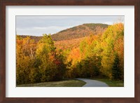Franconia Notch Bike Path in New Hampshire's White Mountains Fine Art Print