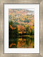 Ammonoosuc Lake in fall, White Mountain National Forest, New Hampshire Fine Art Print